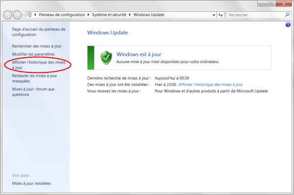 Microsoft Update (7)