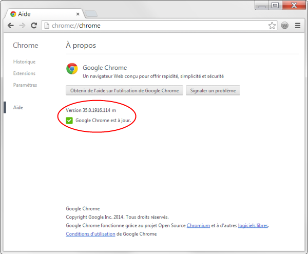 Google Chrome